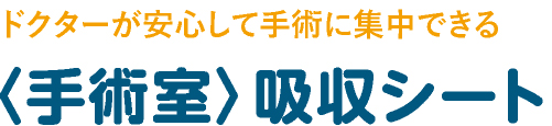 カテゴリタイトル